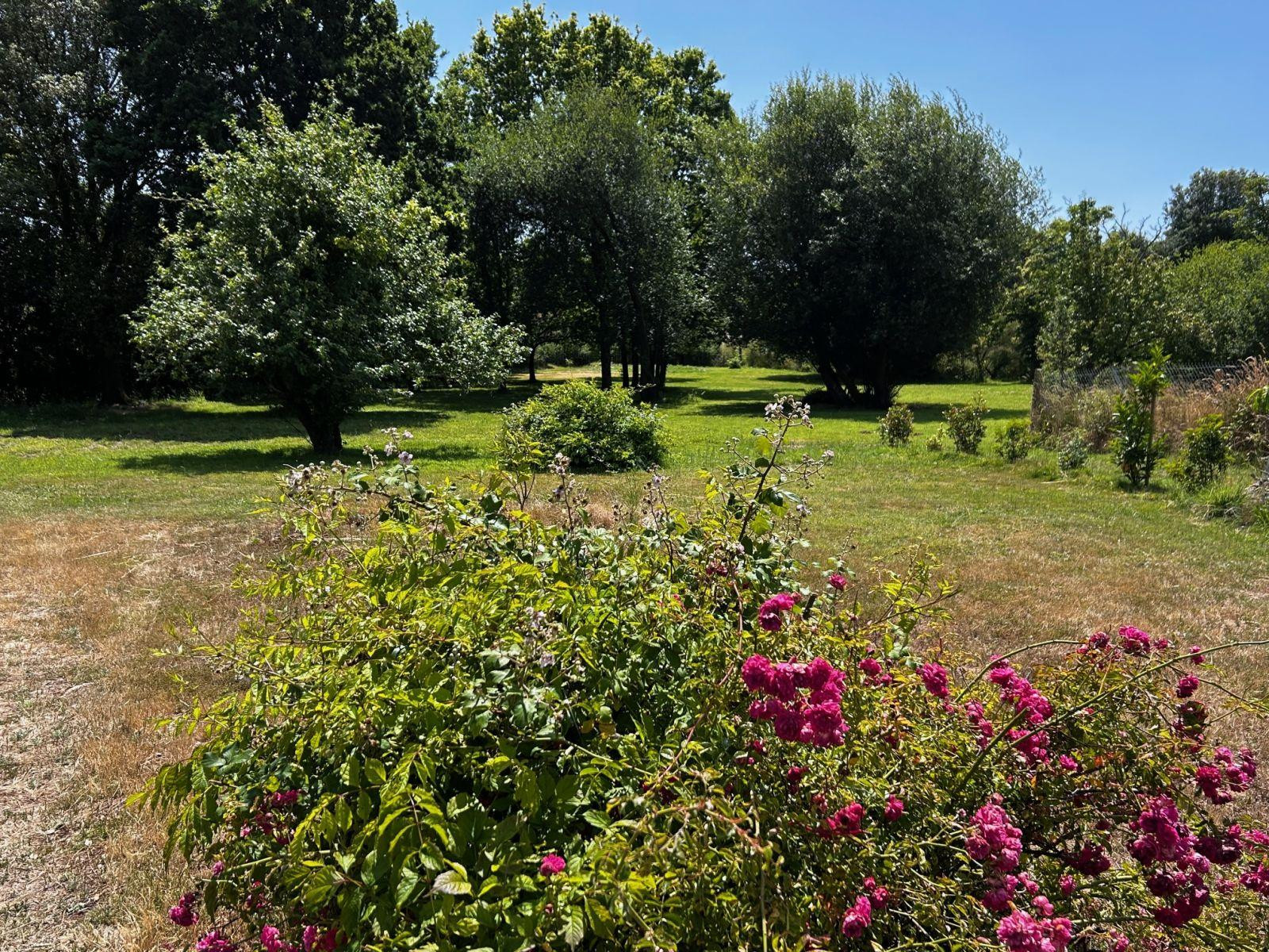 
                                                Location
                                                 Petite maison sympa