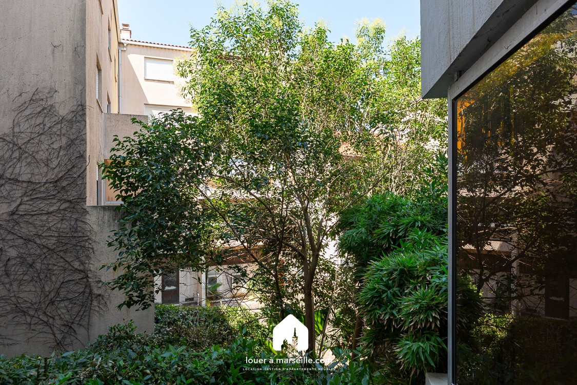 
                                                Location
                                                 Plage de David