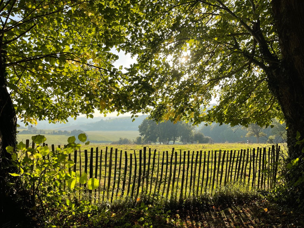 
                                                Vente
                                                 Propriété arborée avec chambres d’hôtes