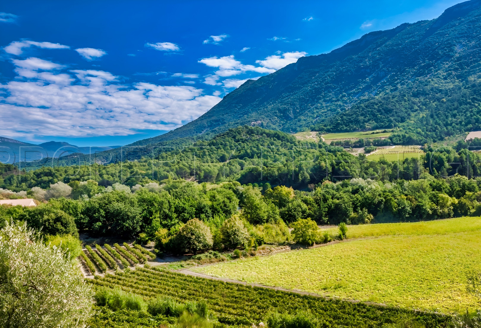 
                                                Vente
                                                 PROPRIETE CHASSE 230 HA HAUT VAR