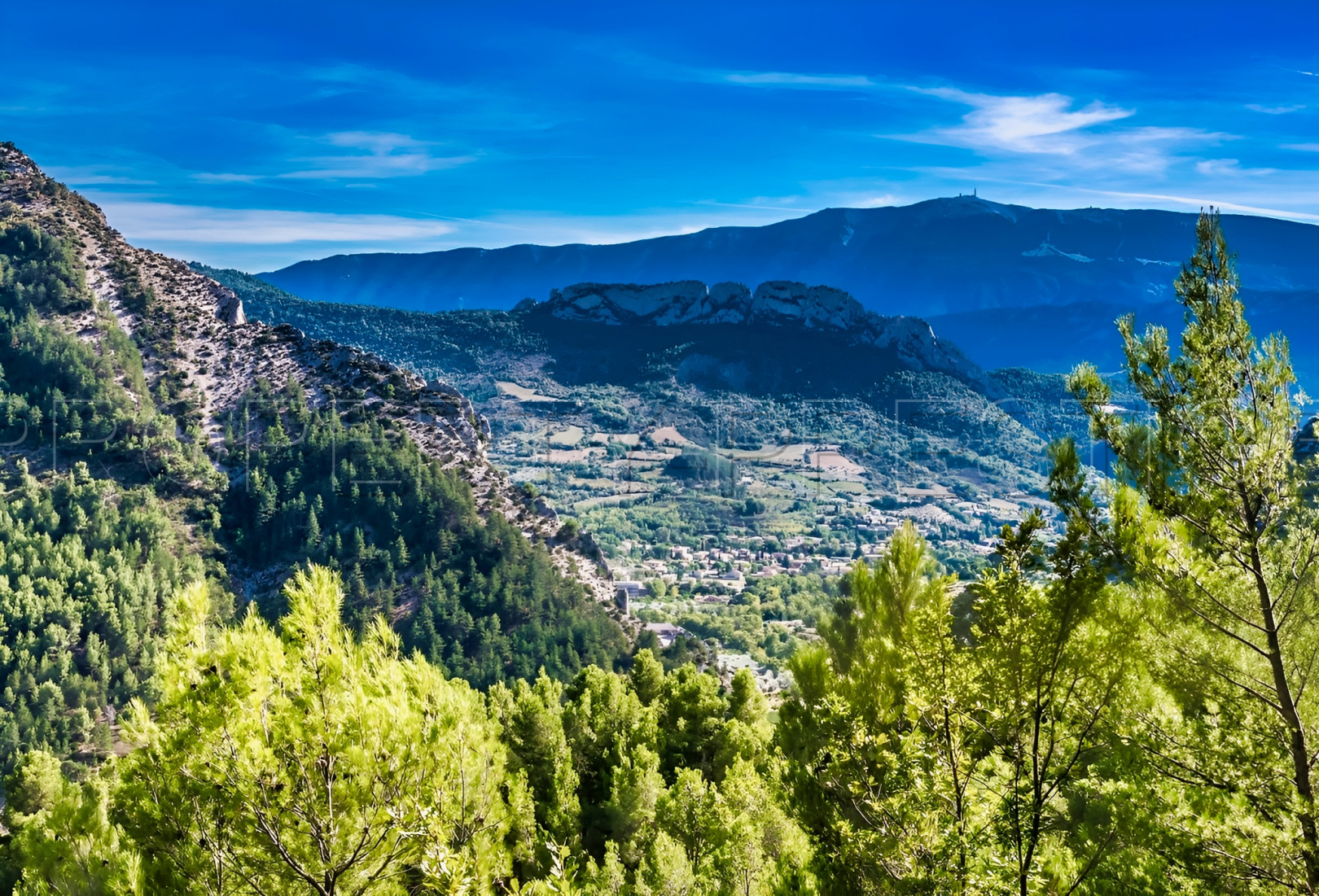 
                                                Vente
                                                 PROPRIETE CHASSE 230 HA HAUT VAR