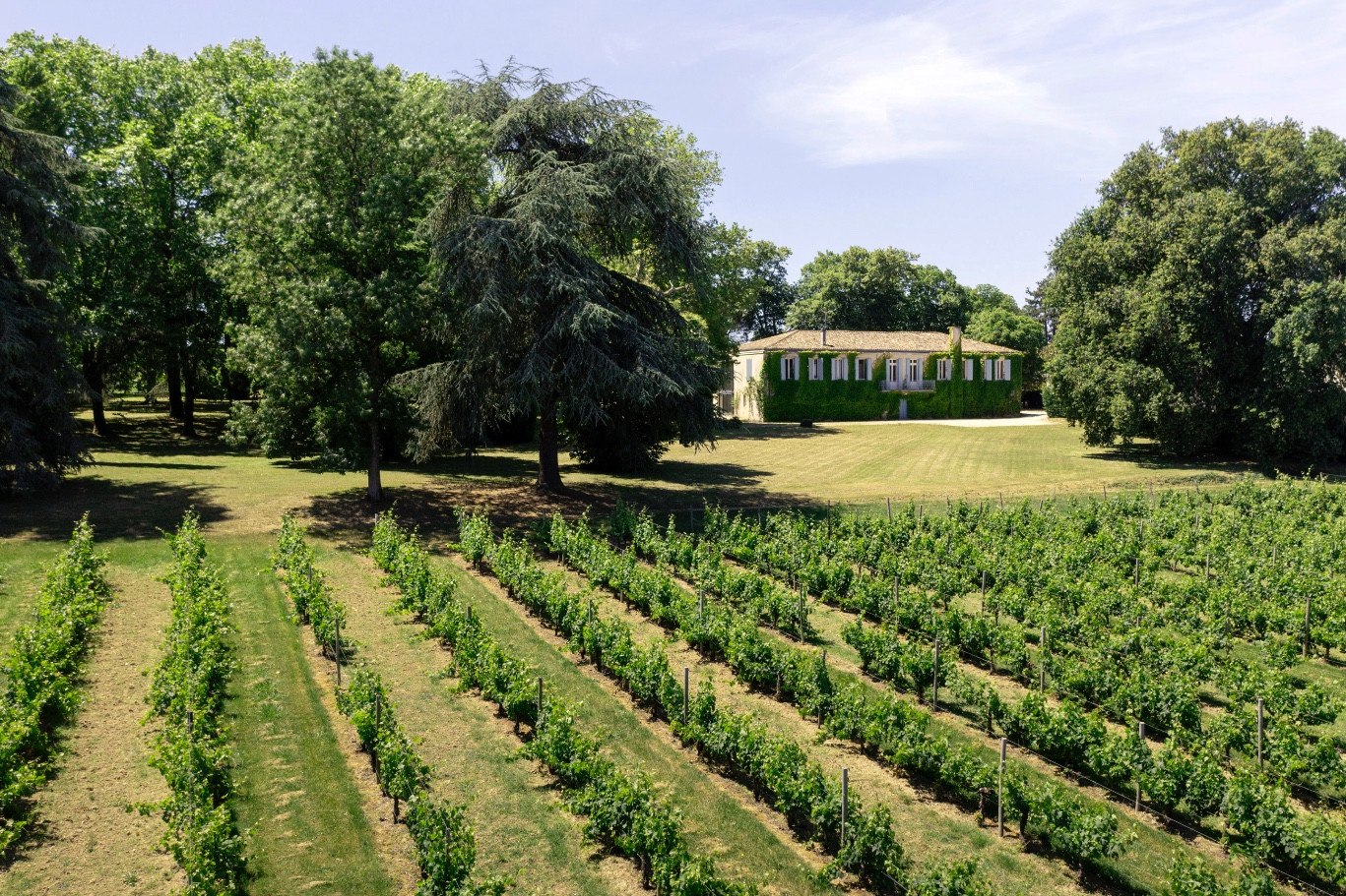 
                                                Vente
                                                 PROPRIÉTÉ D’EXCEPTION AUX PORTES DE BORDEAUX
