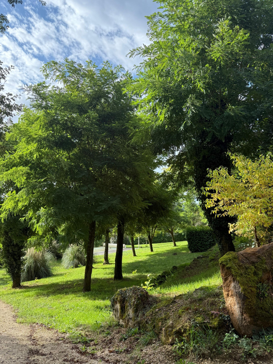 Vente
                                                 Propriété de charme