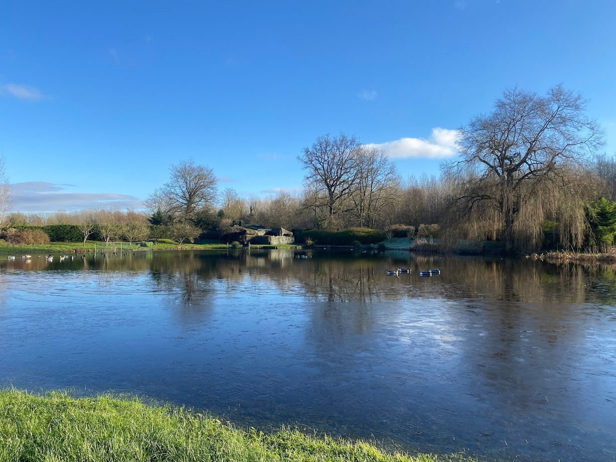 
                                                Vente
                                                 Propriété de loisirs, pêche et chasse avec hutte