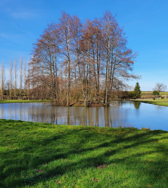 
                                                Vente
                                                 PROPRIETE PECHE LOISIRS DANS L'AVESNOIS (59)