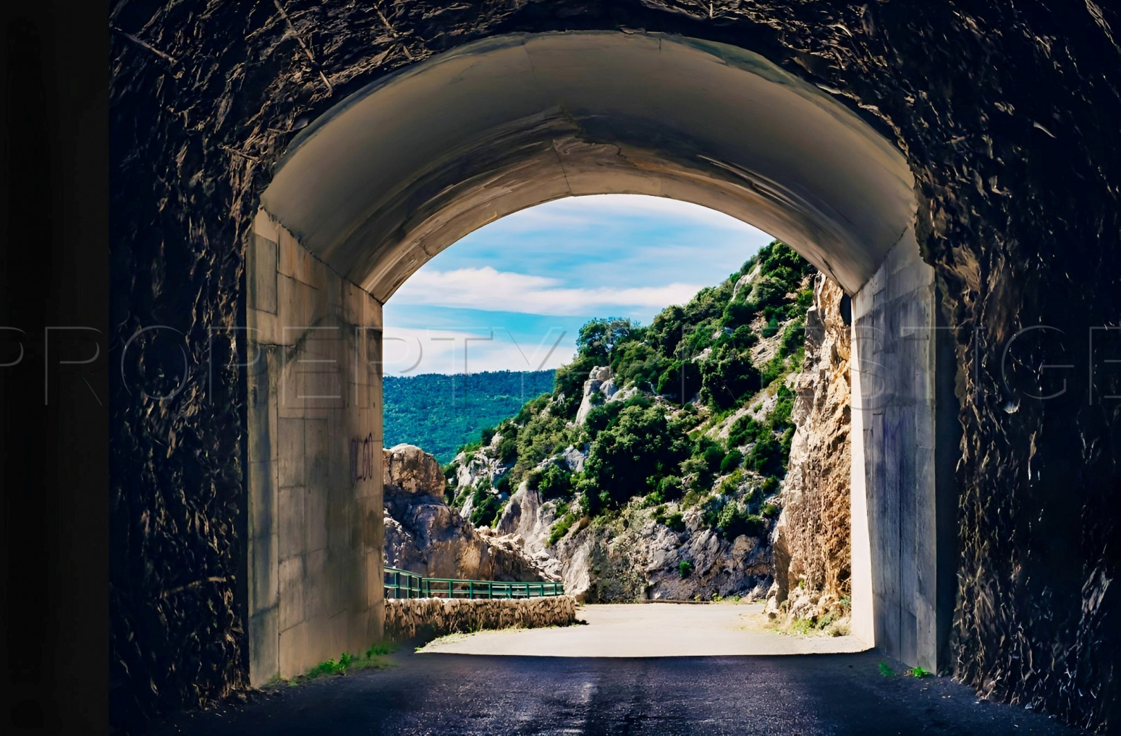 Vente
                                                 PROVENCE PROPRIETE 230 HA RECEPTIONS CHASSE