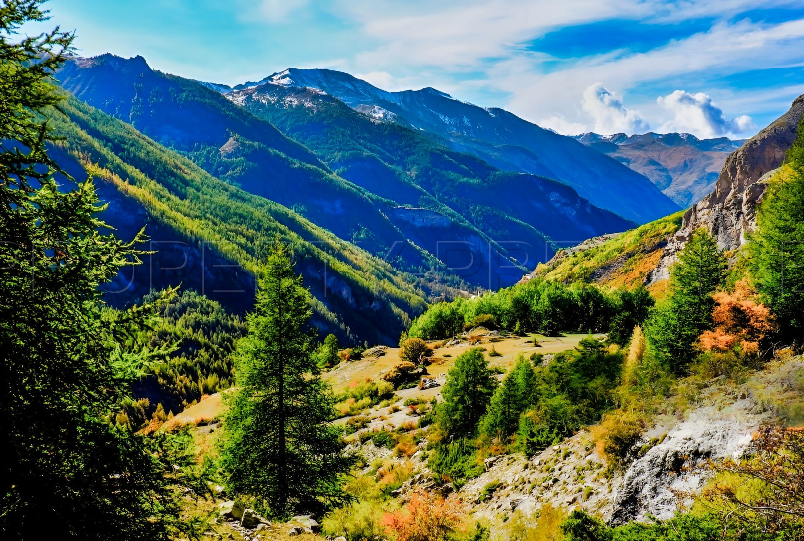 
                                                Vente
                                                 PROVENCE PROPRIETE 230 HA RECEPTIONS CHASSE