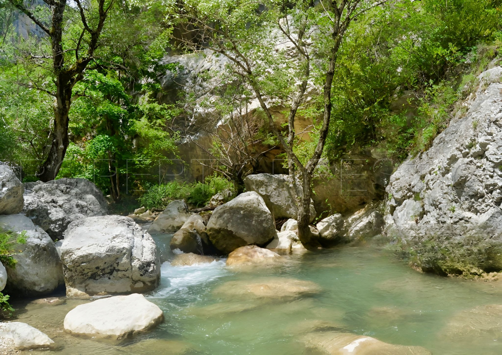 
                                                Vente
                                                 PROVENCE PROPRIETE 230 HA RECEPTIONS CHASSE