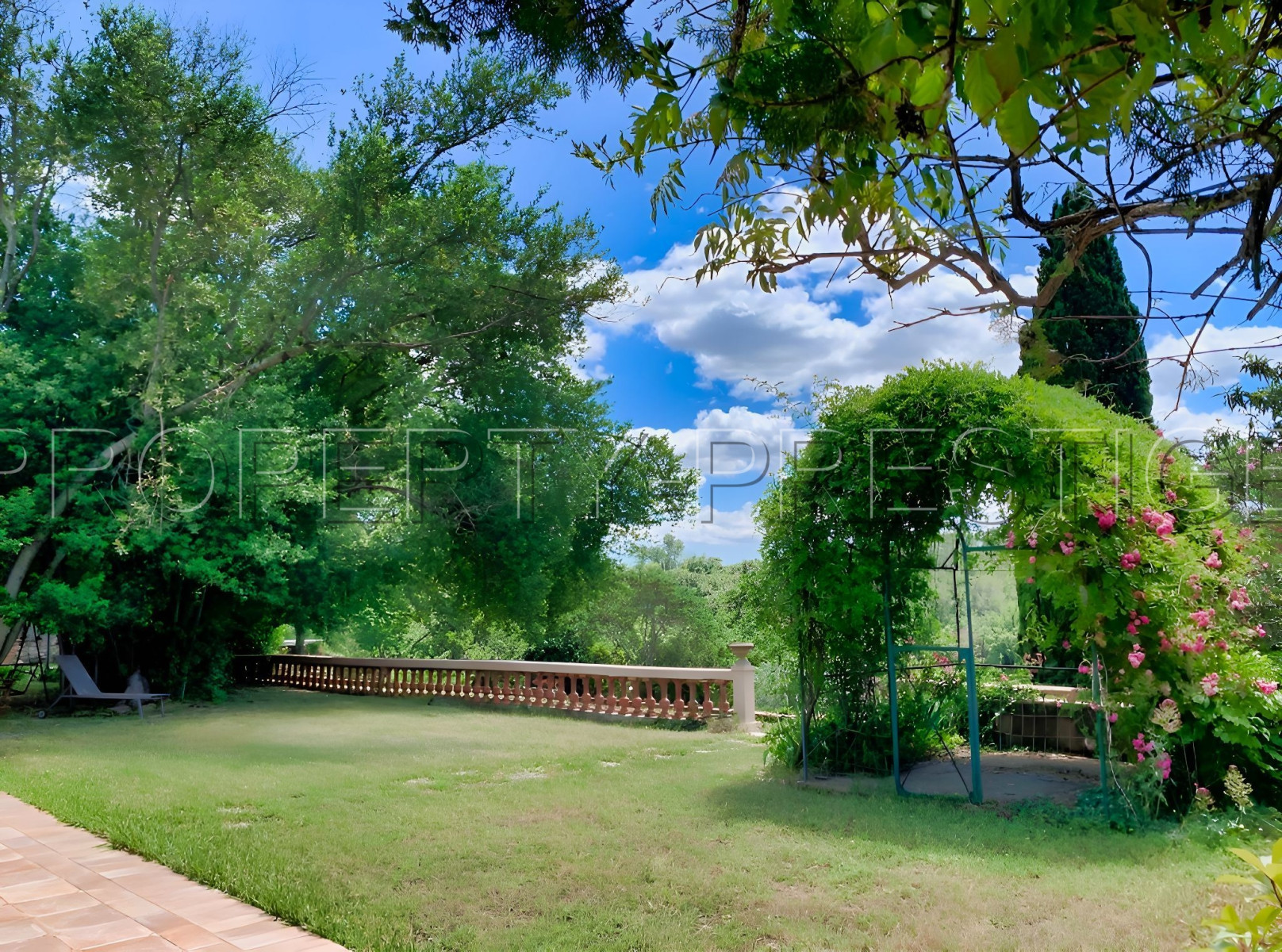 
                                                Vente
                                                 PROVENCE VERTE DOMAINE 62 HA OLIVERAIE VIGNES