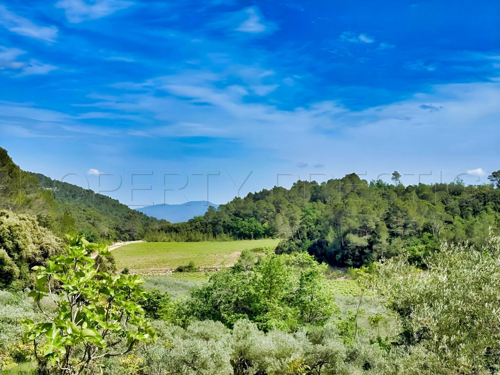 
                                                Vente
                                                 PROVENCE VERTE DOMAINE 62 HA OLIVERAIE VIGNES