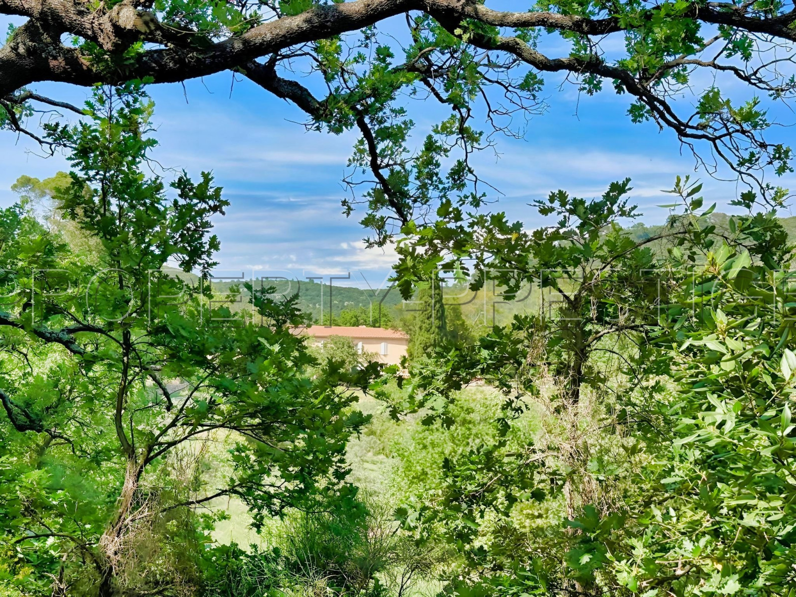 
                                                Vente
                                                 PROVENCE VERTE DOMAINE 62 HA OLIVERAIE VIGNES