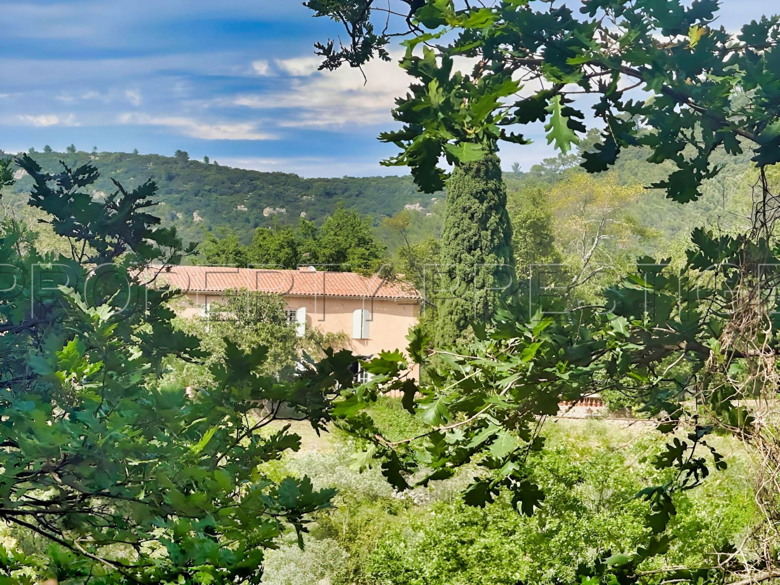 
                                                Vente
                                                 PROVENCE VERTE DOMAINE 62 HA OLIVERAIE VIGNES