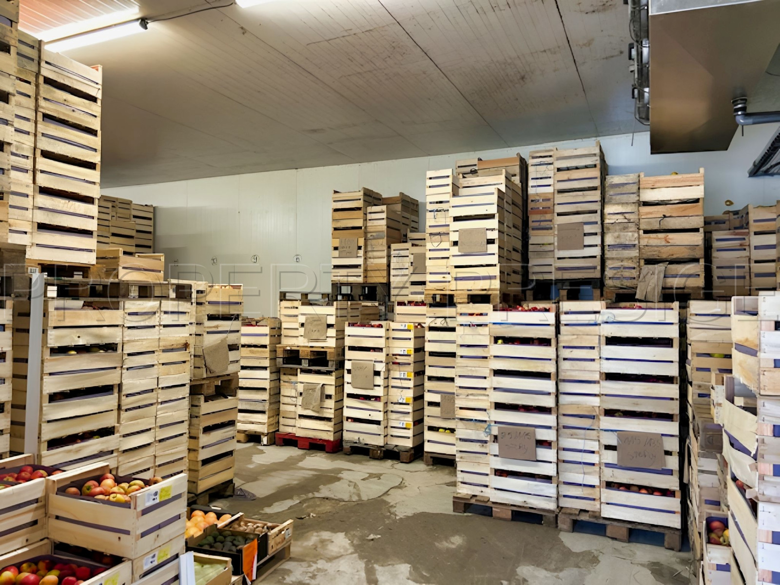 
                                                Vente
                                                 PYRENEES ORIENTALES DOMAINE ARBORICOLE 10.5 HA