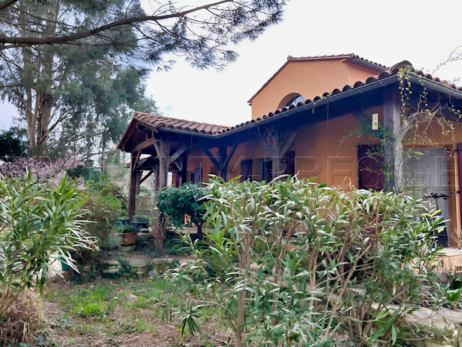 
                                                Vente
                                                 PYRENEES ORIENTALES DOMAINE ARBORICOLE 10.5 HA