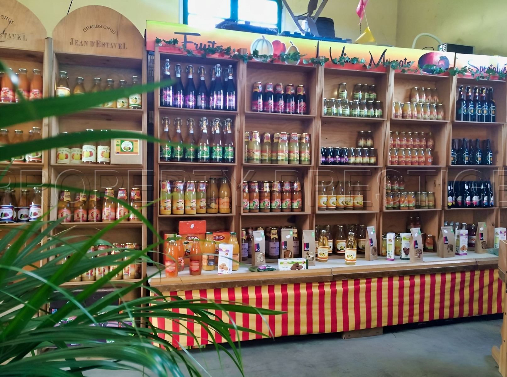 
                                                Vente
                                                 PYRENEES ORIENTALES DOMAINE ARBORICOLE 10.5 HA