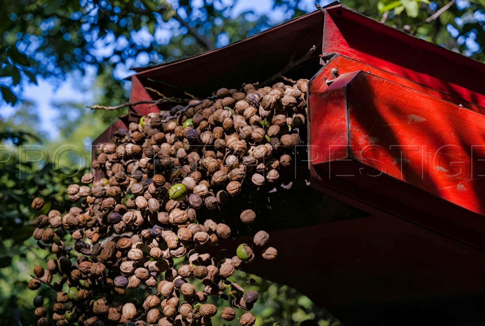 
                                                Vente
                                                 PYRENEES ORIENTALES DOMAINE OLEICOLE ET NUCICOLE