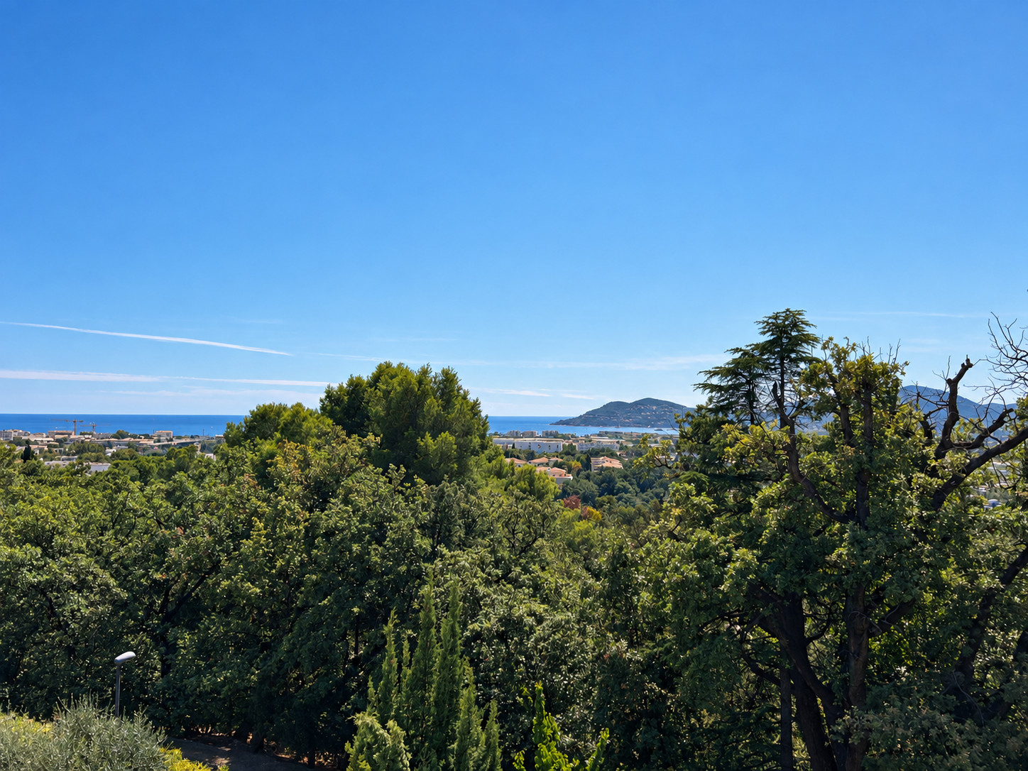 
                                                Location
                                                 Référence : Domaine des palmiers