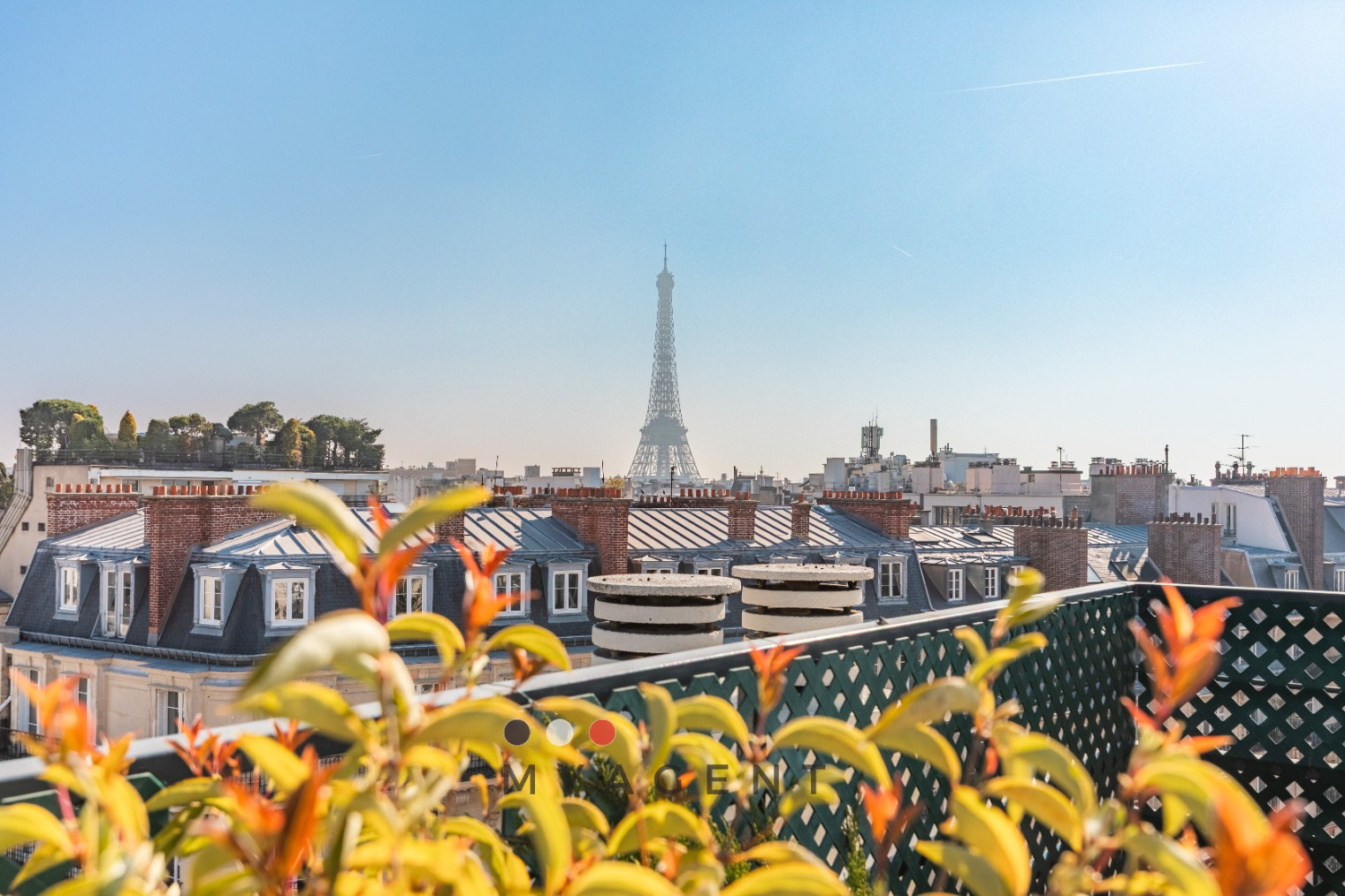 
                                                Vente
                                                 Rooftop exceptionnel - La Muette