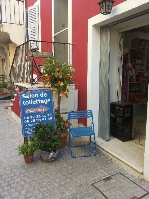 
                                                Vente
                                                 salon de toilettage