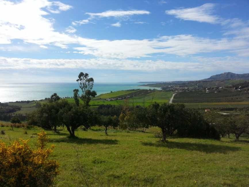 
                                                Vente
                                                 SICILE terrain panoramique "vue mer"11500M2 projet