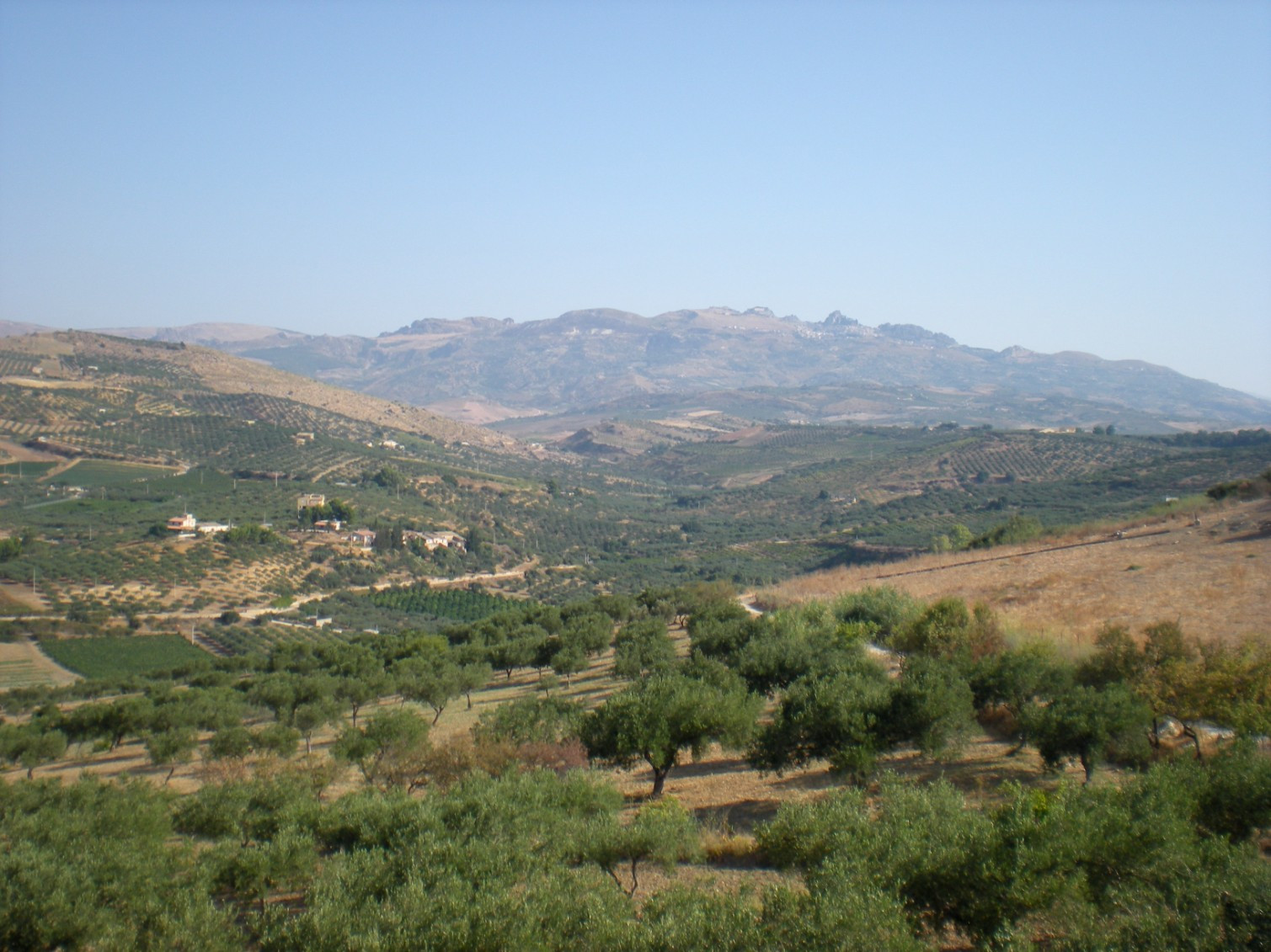 
                                                Vente
                                                 SICILE terrain panoramique "vue mer"11500M2 projet