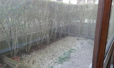 
                                                Location
                                                 Studio 29m2 + terrasse
