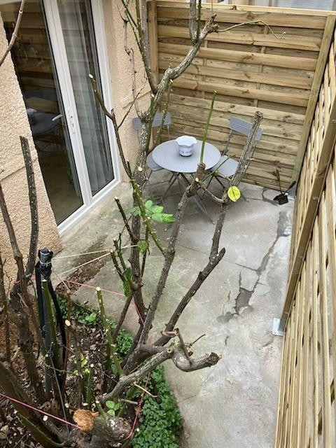 
                                                Location
                                                 Studio avec terrasse
