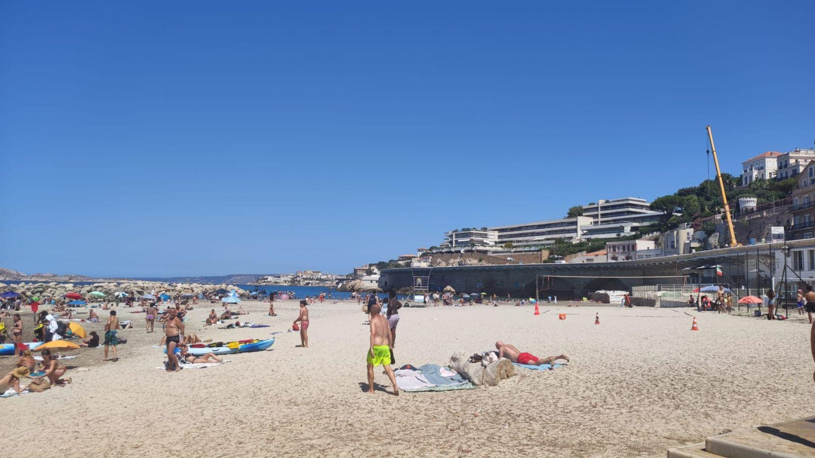 
                                                Location
                                                 Studio Cosy Tranquille Marseille 7e Roucas-Blanc