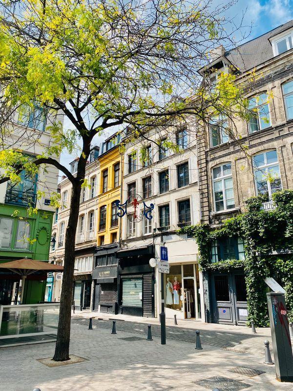 
                                                Location
                                                 Studio étudiant -Rue de la Clef Vieux Lille