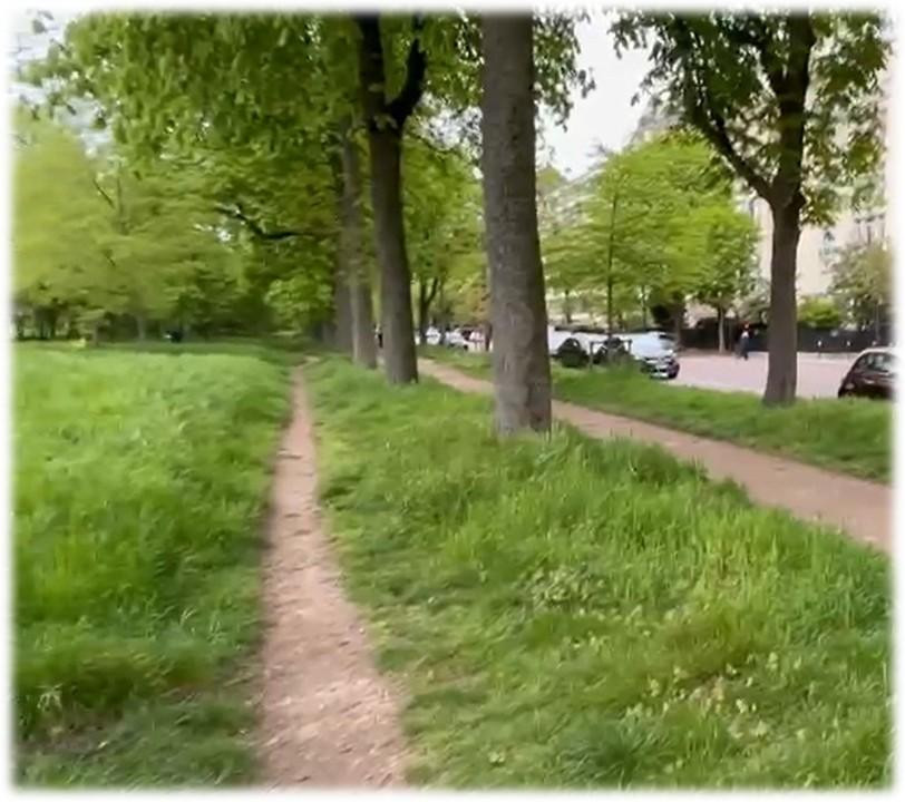 
                                                Location
                                                 Studio meublé jardin terrasse
