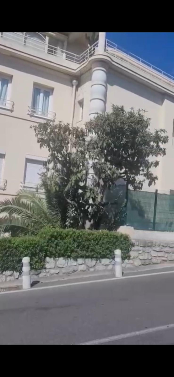 
                                                Location
                                                 Studio meublé refait à neuf terrasse centre ville