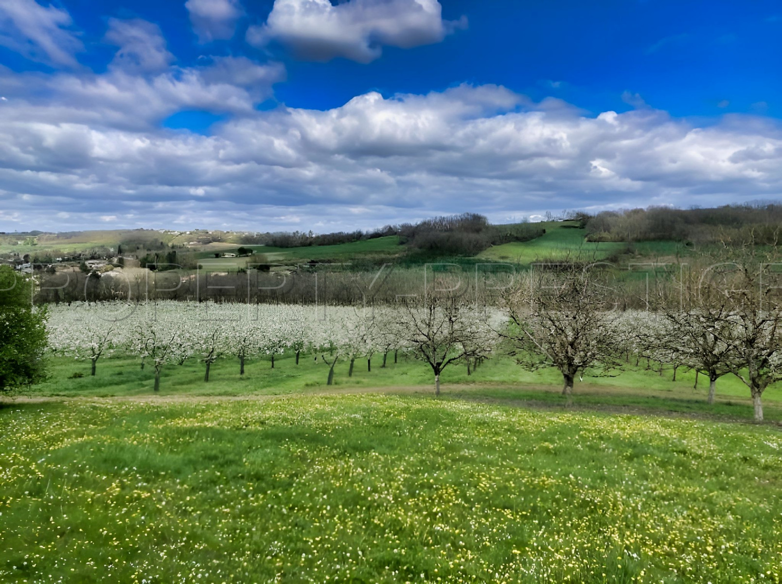 
                                                Vente
                                                 SUD OUEST DOMAINE PRUNICOLE 65 HA