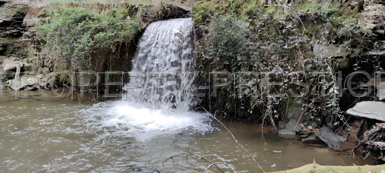 
                                                Vente
                                                 SUD OUEST PROPRIETE 70 HA RIVIERE