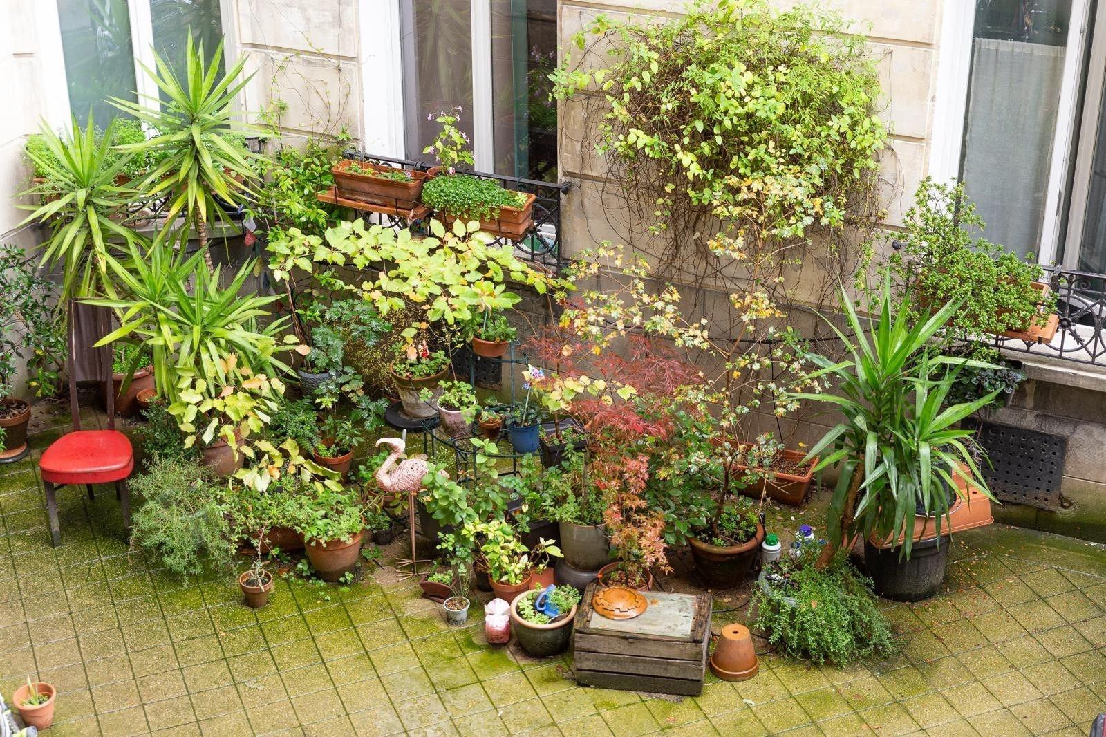 
                                                Location
                                                 Superbe 3P meublé 40m² au calme