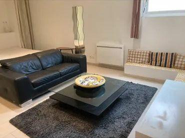 
                                                Location
                                                 Superbe loft refait à neuf 46m² bail mobilité