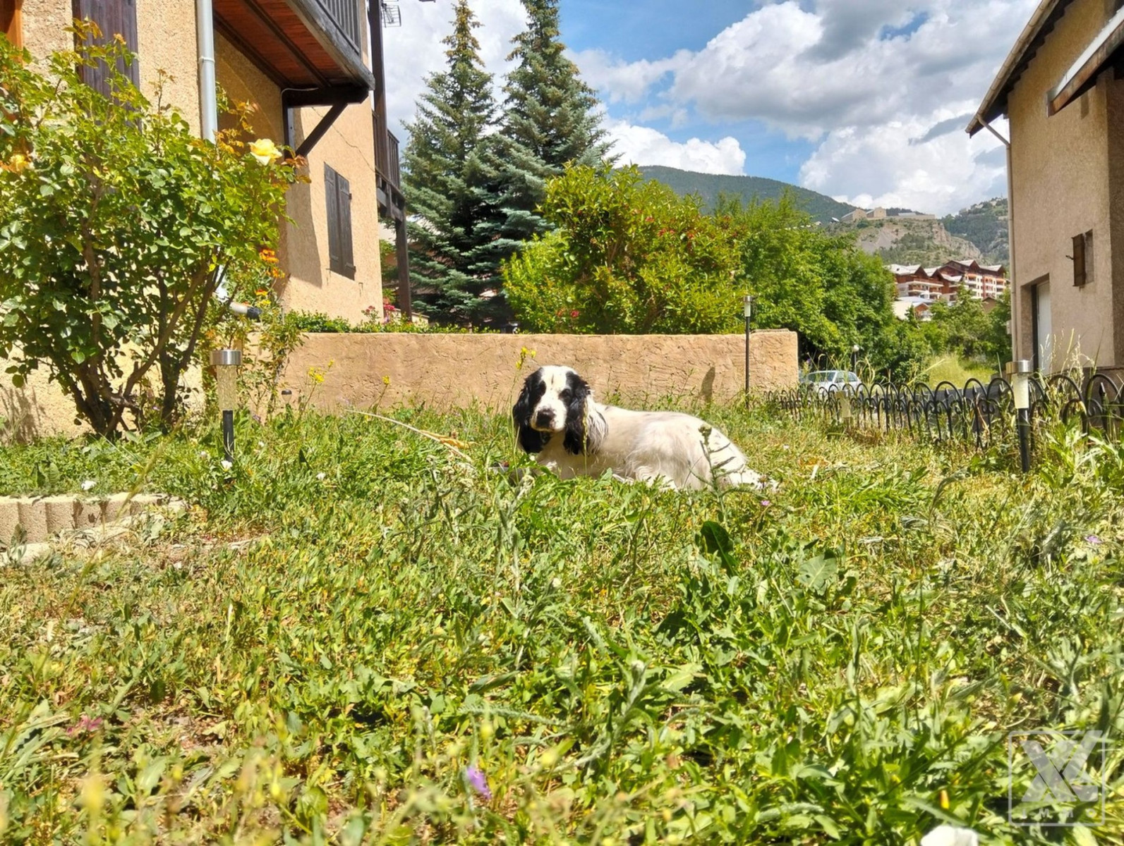 
                                                Vente
                                                 Superbe maison centre ville