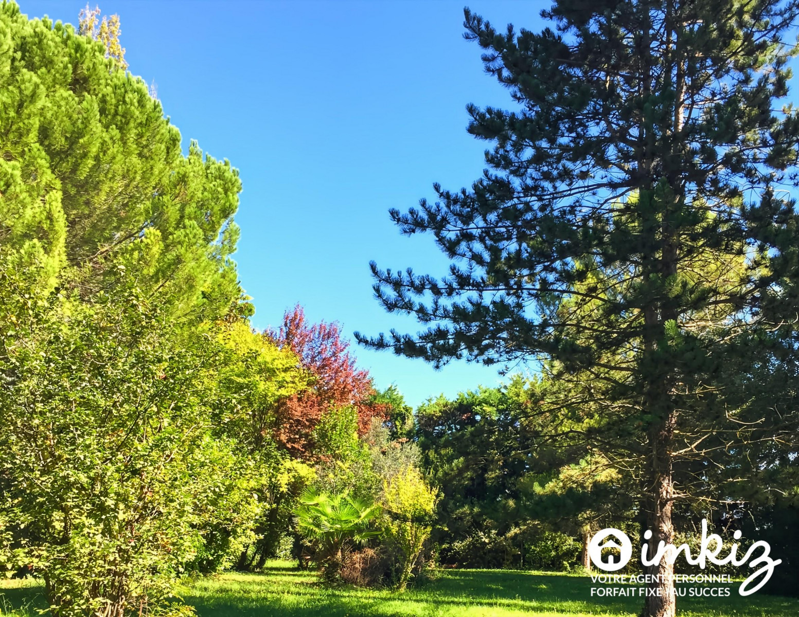 
                                                Vente
                                                 Superbe propriete + 2 logements + grand parc