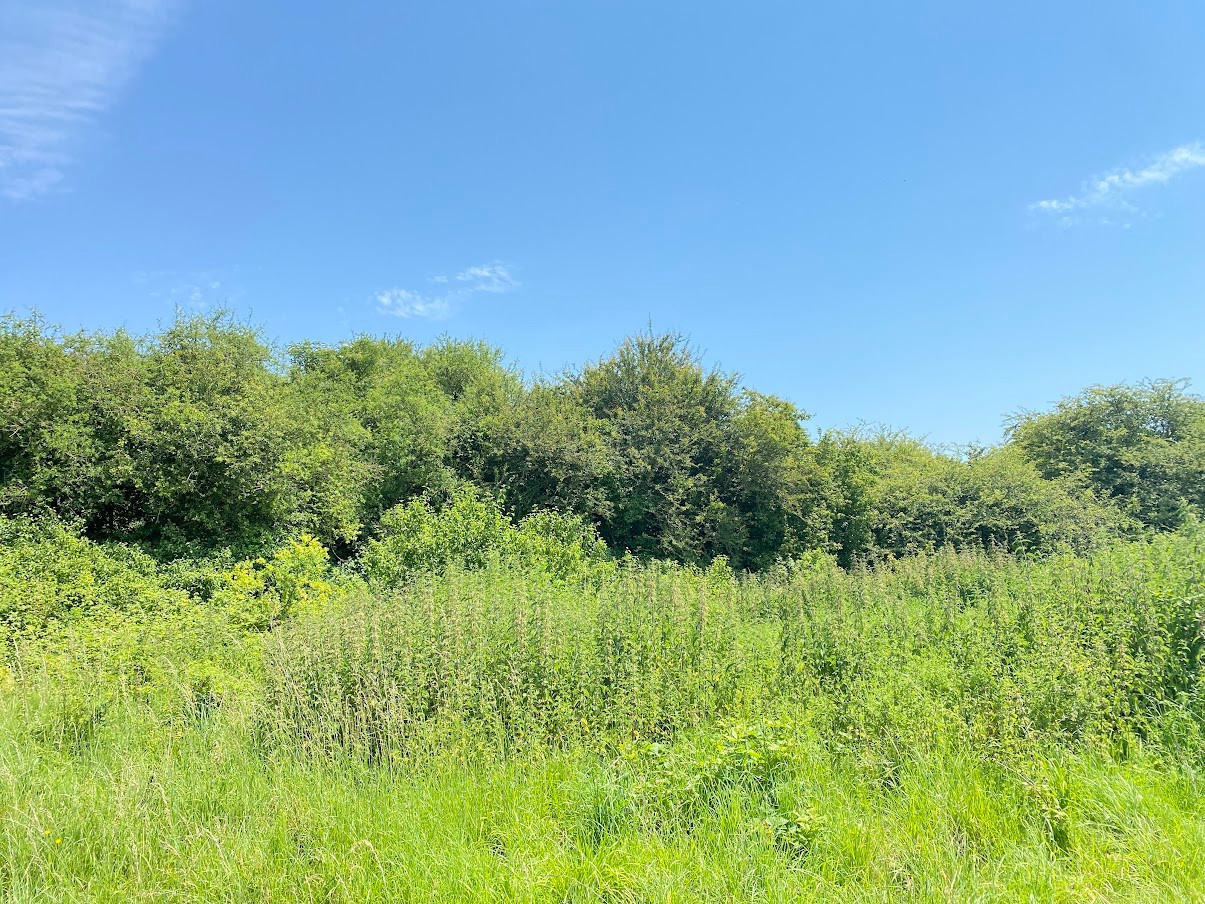 
                                                Vente
                                                 Superbe propriété sur près de 40ha