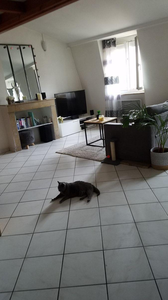
                                                Location
                                                 Superbe studio 42 m² (dont 14 m² mezzanine)