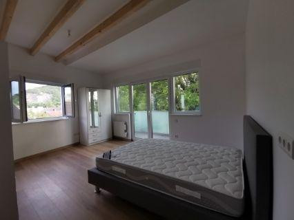 
                                                Colocation
                                                 Superbes suites dans immeuble 3 min. Genève