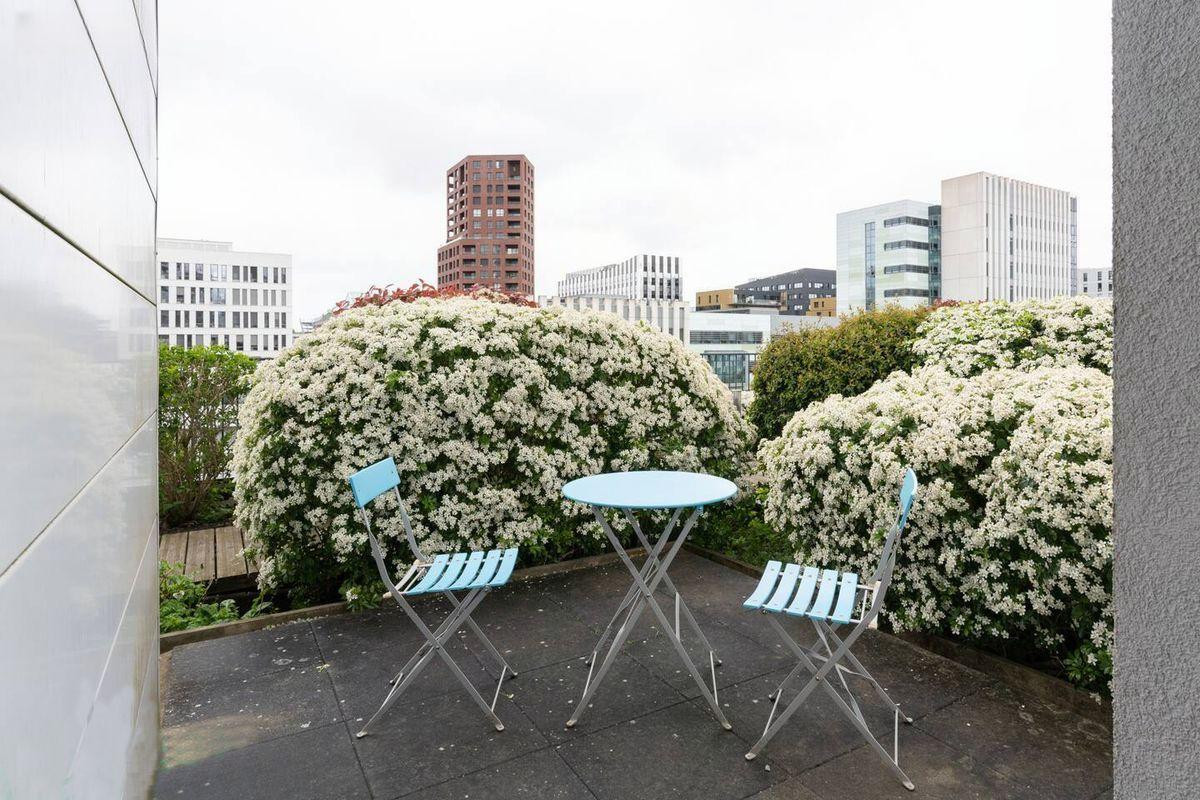
                                                Location
                                                 T1 bis 30 m2 meublé Gare Sud avec terrasse