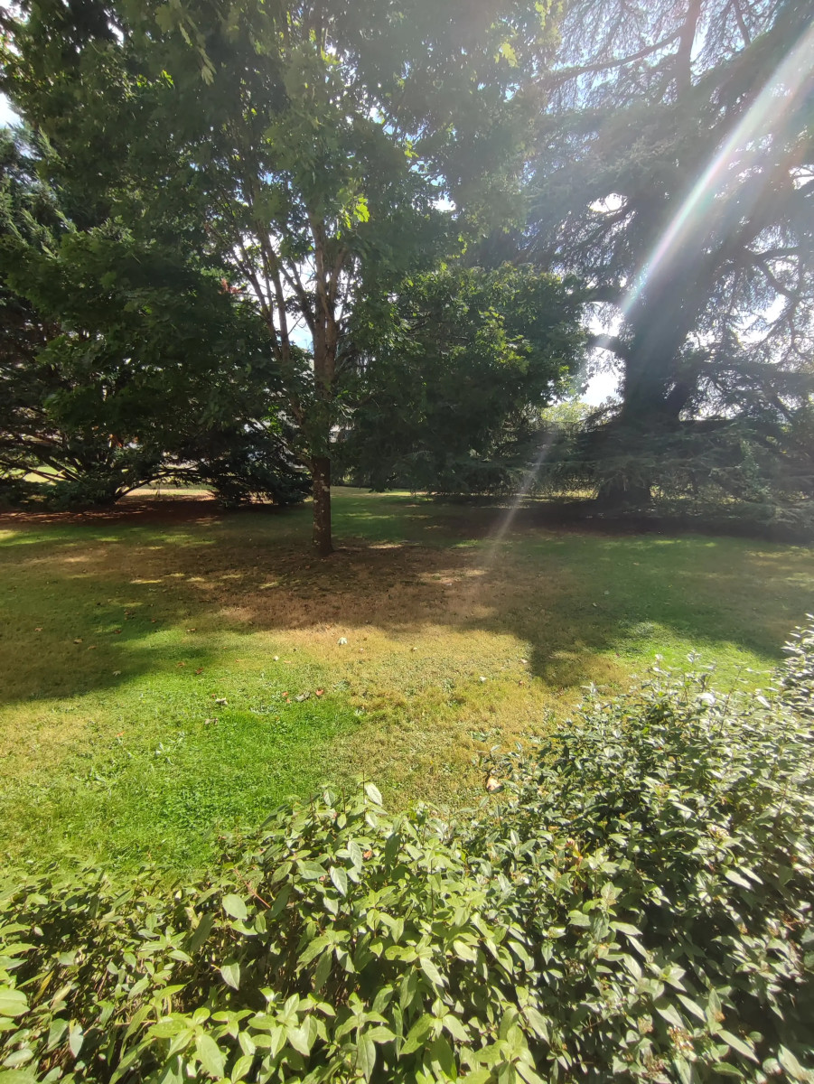 
                                                Location
                                                 T1  Talence