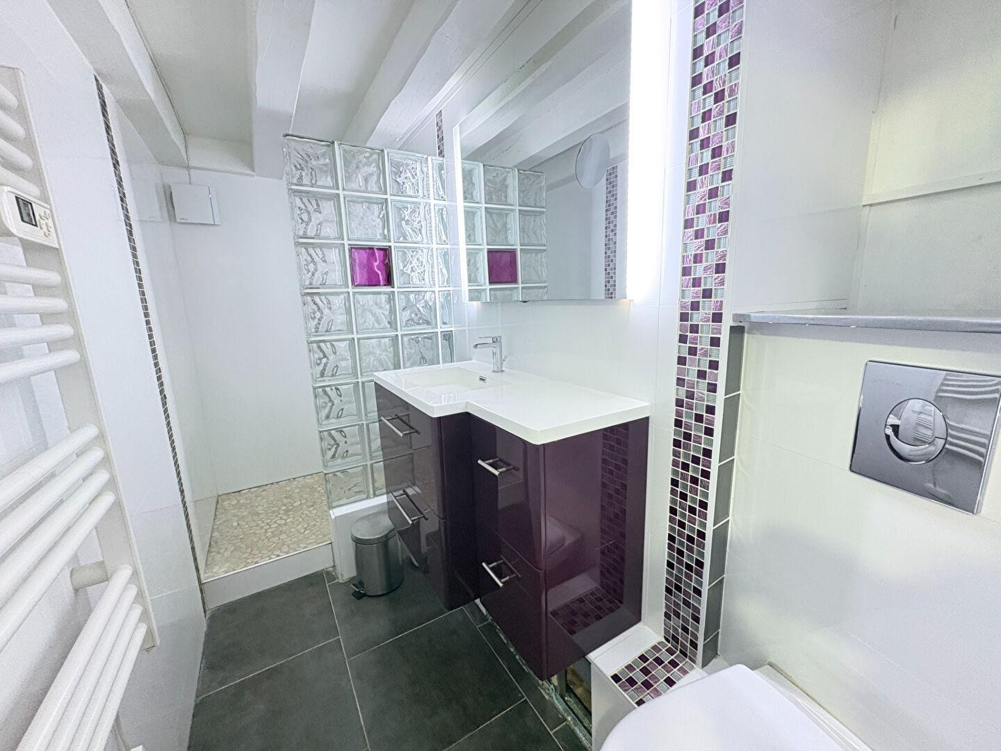 
                                                Location
                                                 T2 bis hypercentre bord de Loire