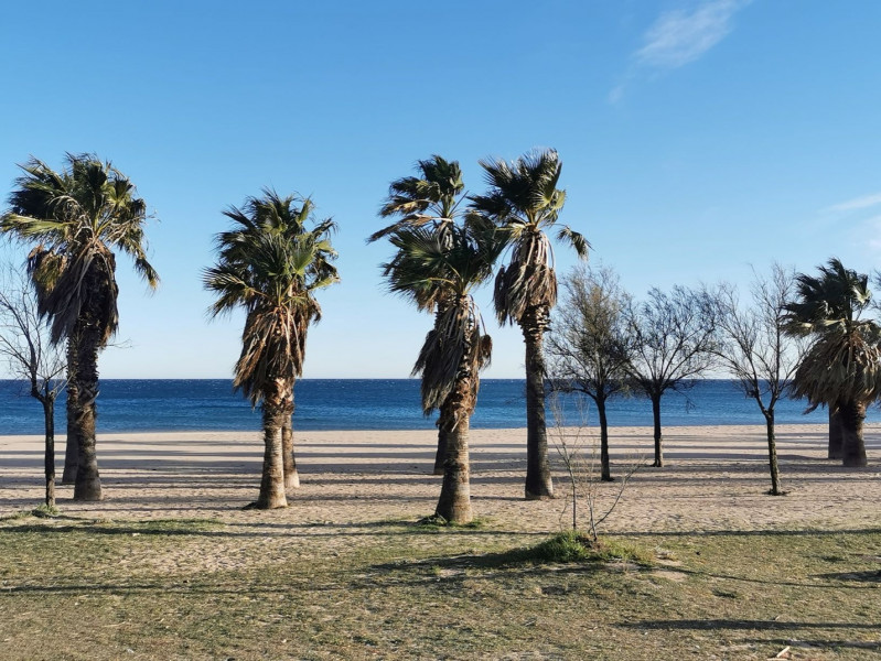 
                                                Vente
                                                 T2 meublé à Port Fréjus