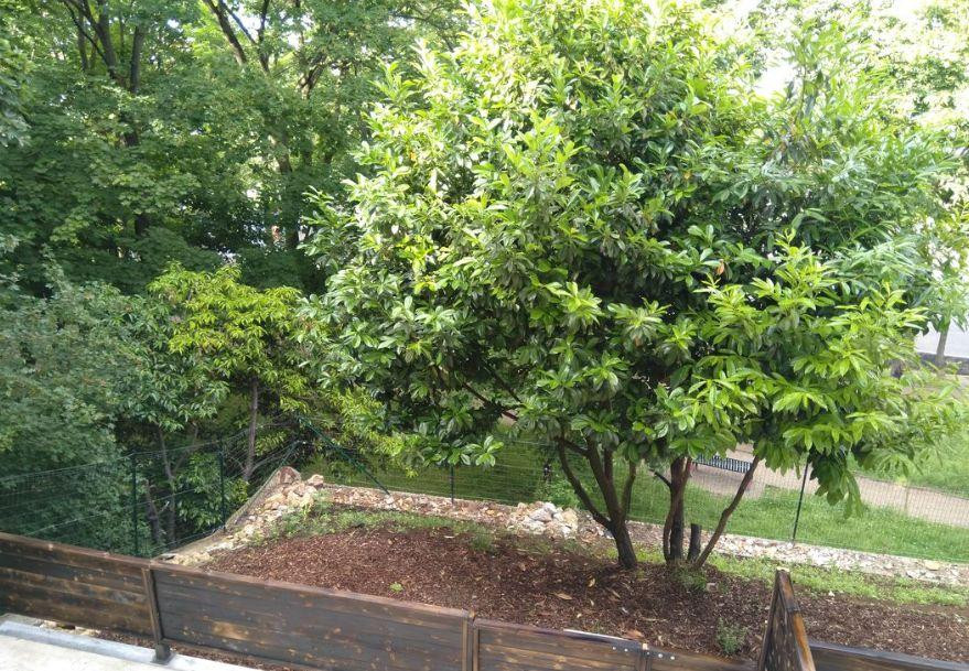 
                                                Location
                                                 T2 récent meublé avec terrasse privée vue sur parc
