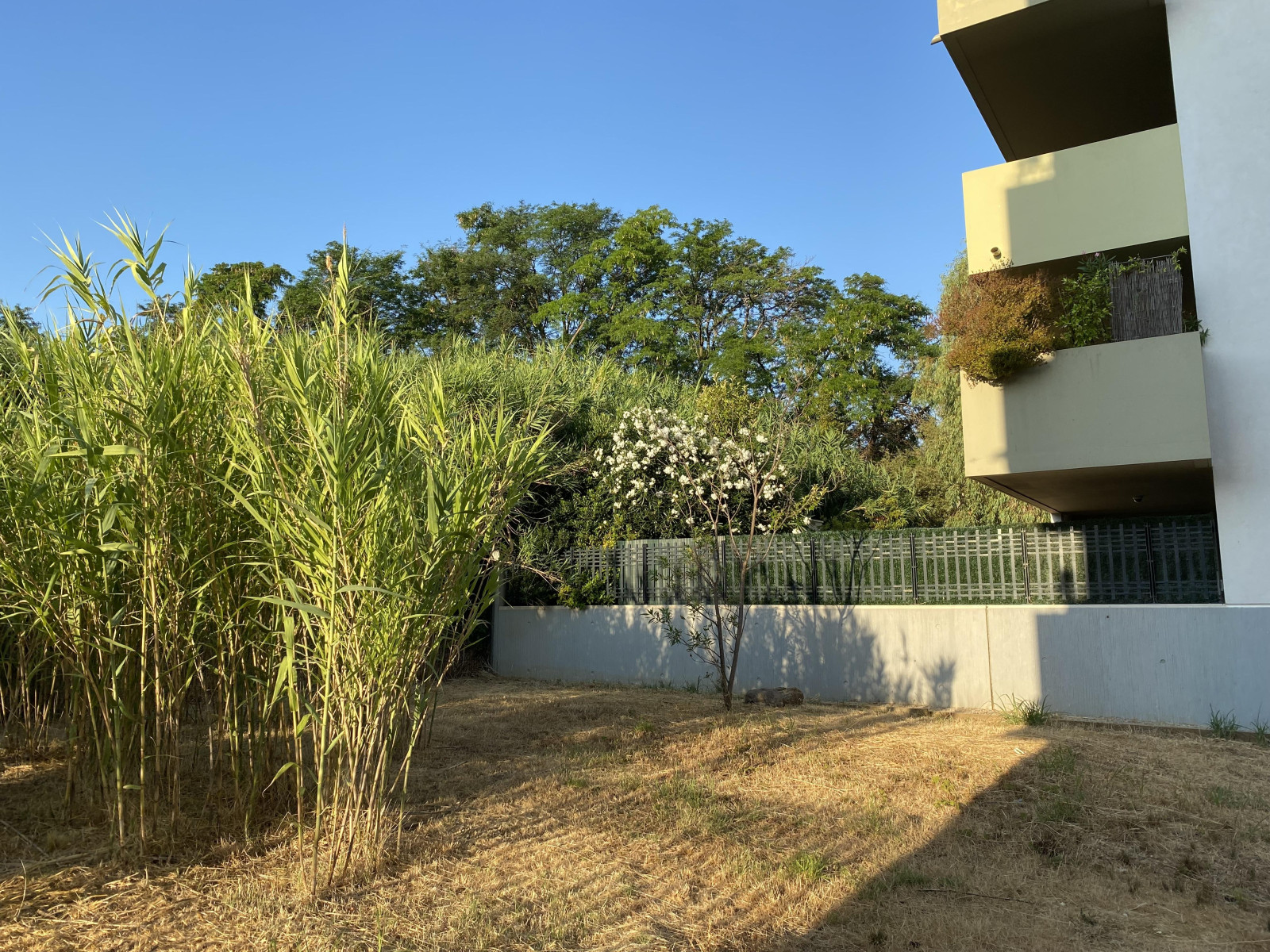 
                                                Vente
                                                 T3 récent avec extérieur de 71m2