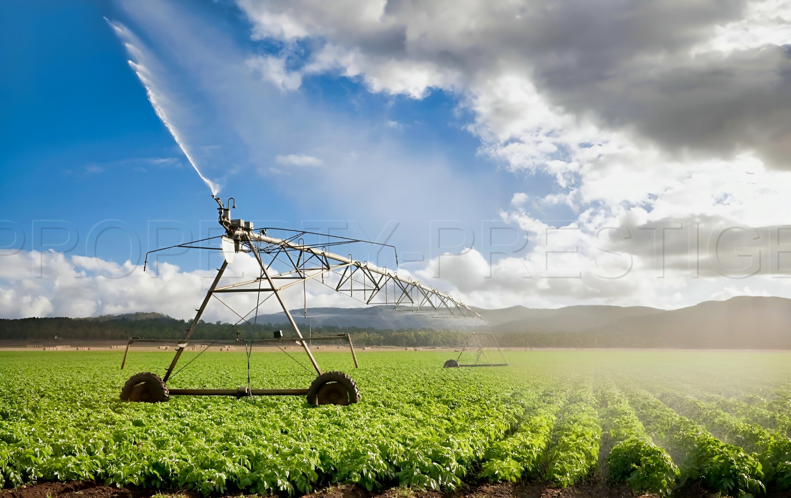 
                                                Vente
                                                 TARN FONCIER AGRICOLE 72 HA IRRIGUE