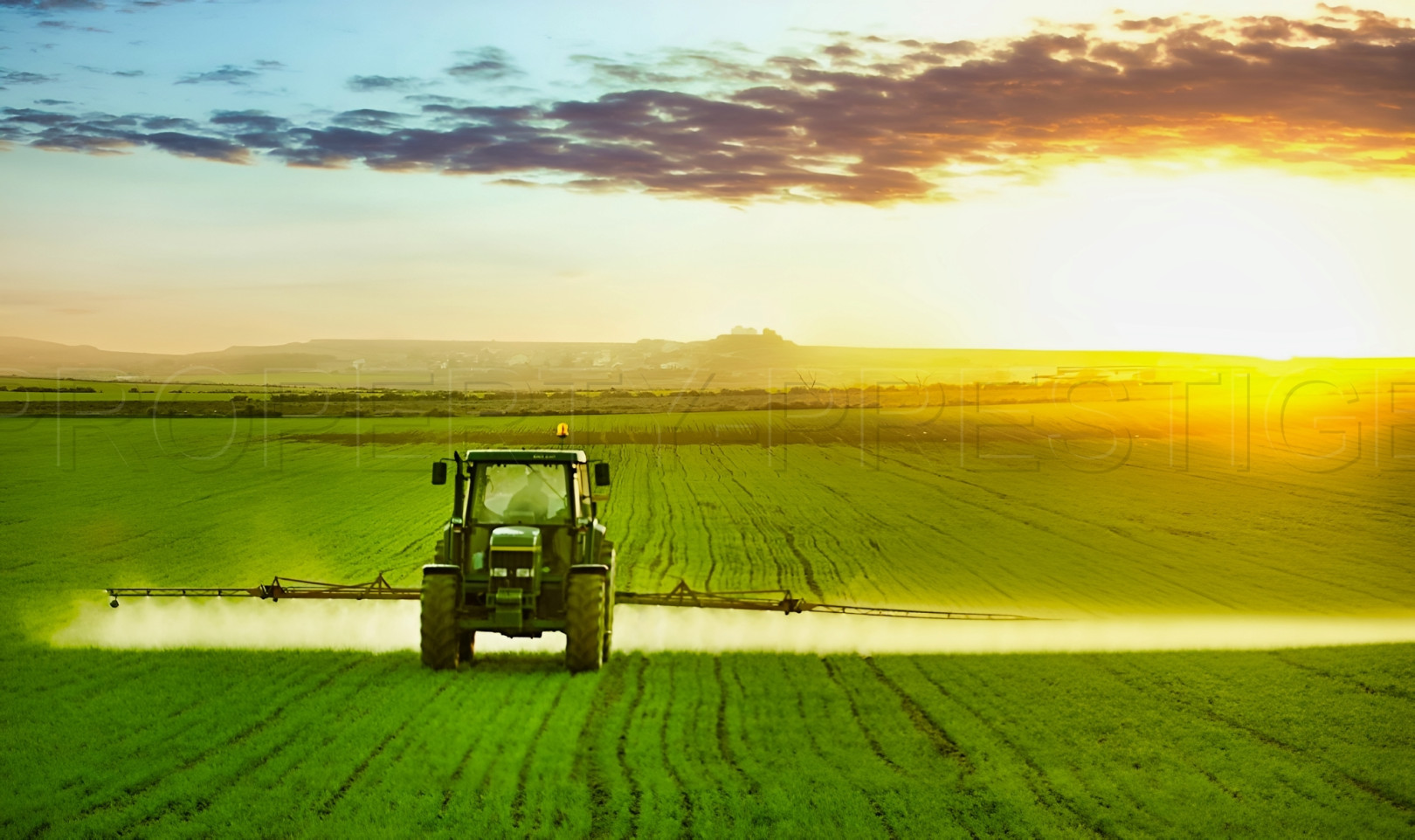 
                                                Vente
                                                 TARN FONCIER AGRICOLE 72 HA IRRIGUE