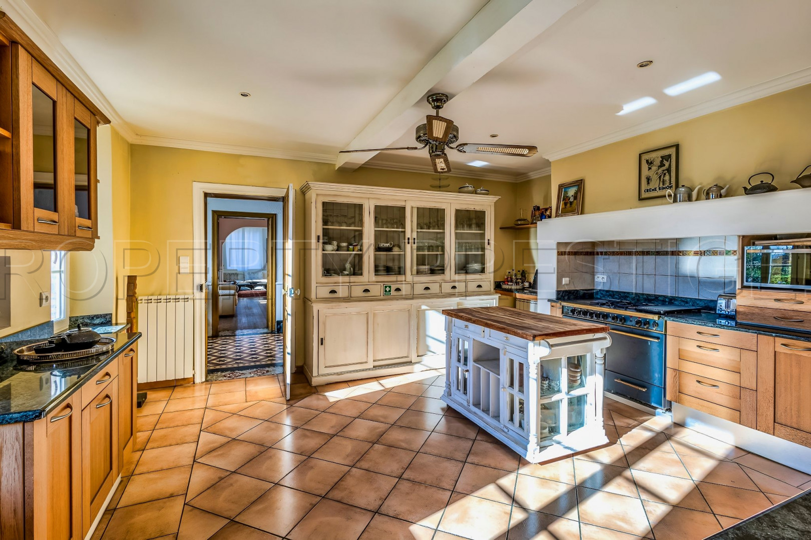 
                                                Vente
                                                 TARN MANOIR XIXème CHAMBRES D'HOTES 2,6 HA