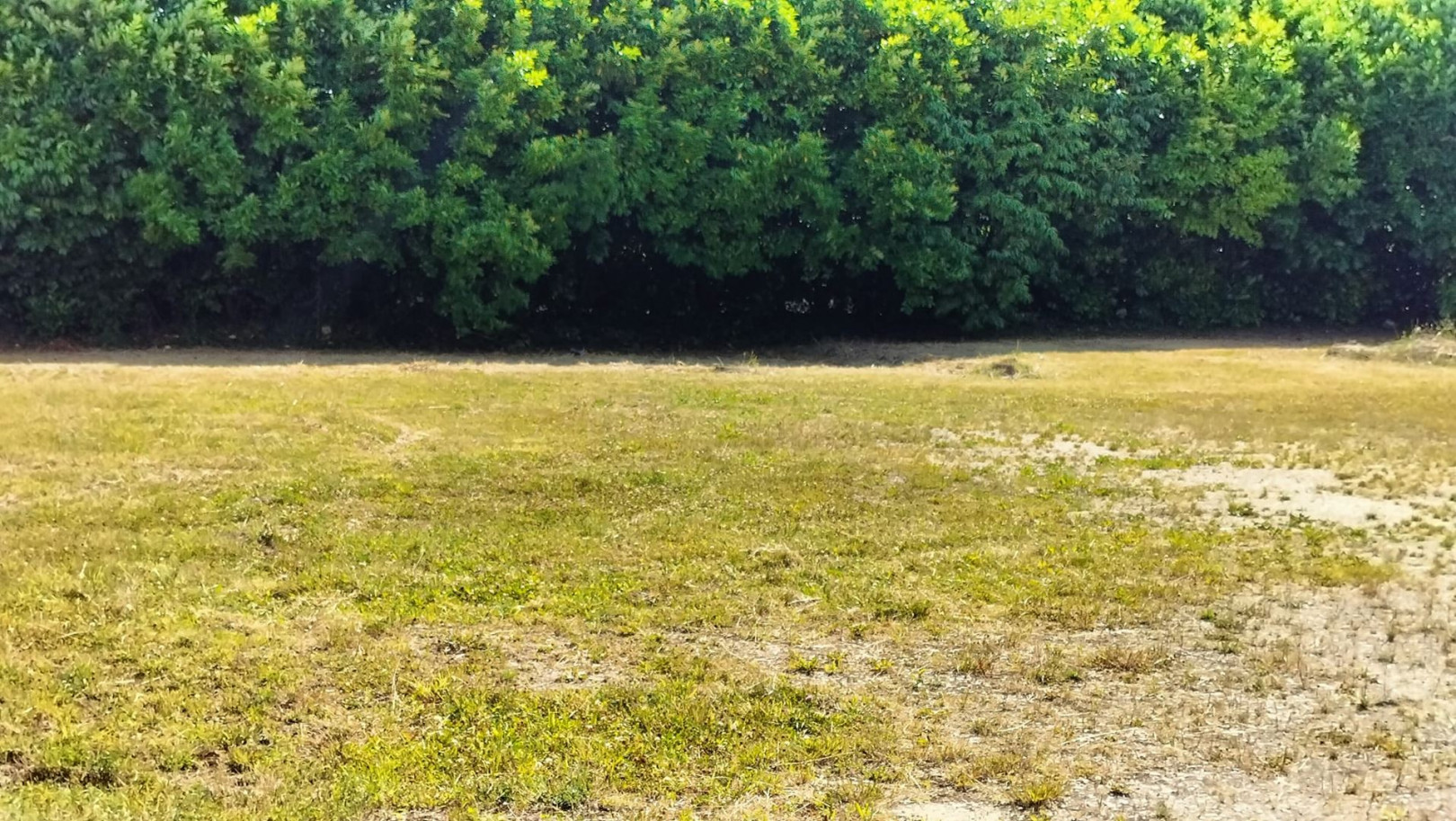 Vente
                                                 Terrain - 2840m ²